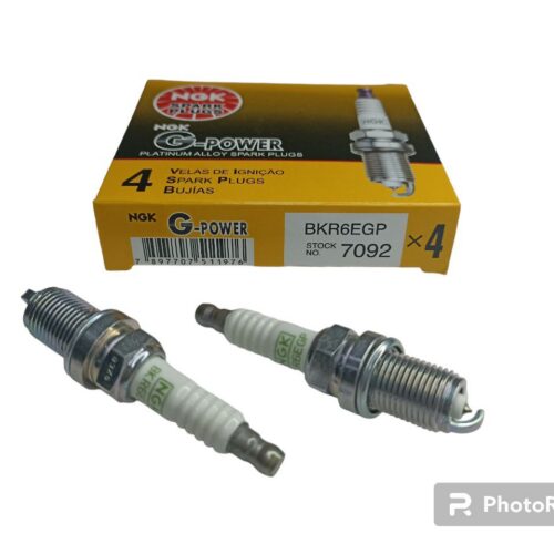 BUJIA/GM AVEO /FI PALIO M1.4 /RE LOGAN MEGANE /MI L300 ***4*** (PTA PLATINO)